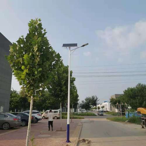 锂电池路灯现货市政工程照明批发淄博庭院景观灯10米太阳能路灯